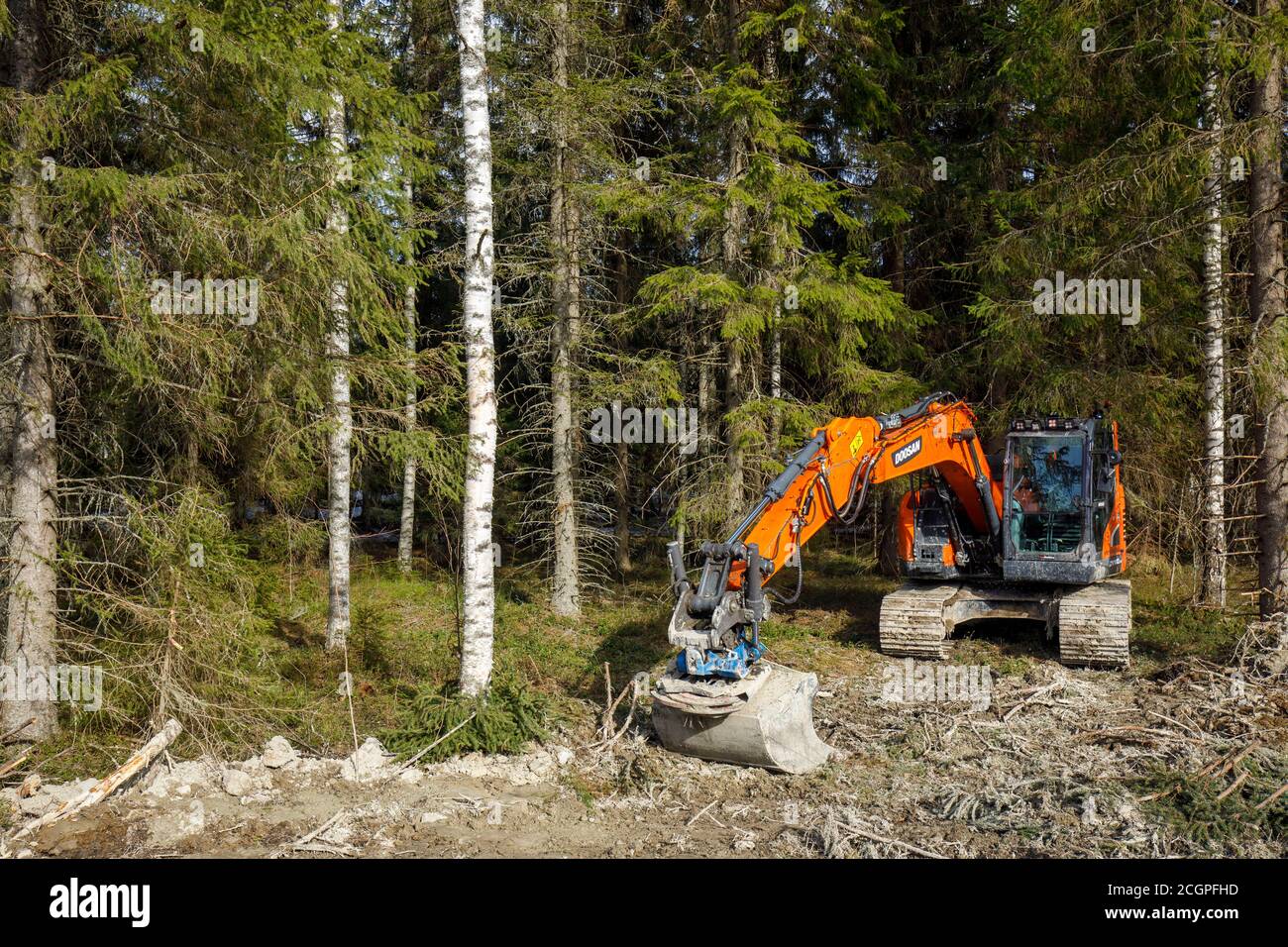 Orange Doosan DX235LCR digger parcheggiato al bordo della foresta, Finlandia Foto Stock
