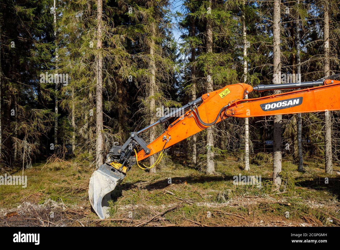 Braccio di scavo Orange Doosan DX235LCR esteso e foresta finlandese sullo sfondo, Finlandia Foto Stock