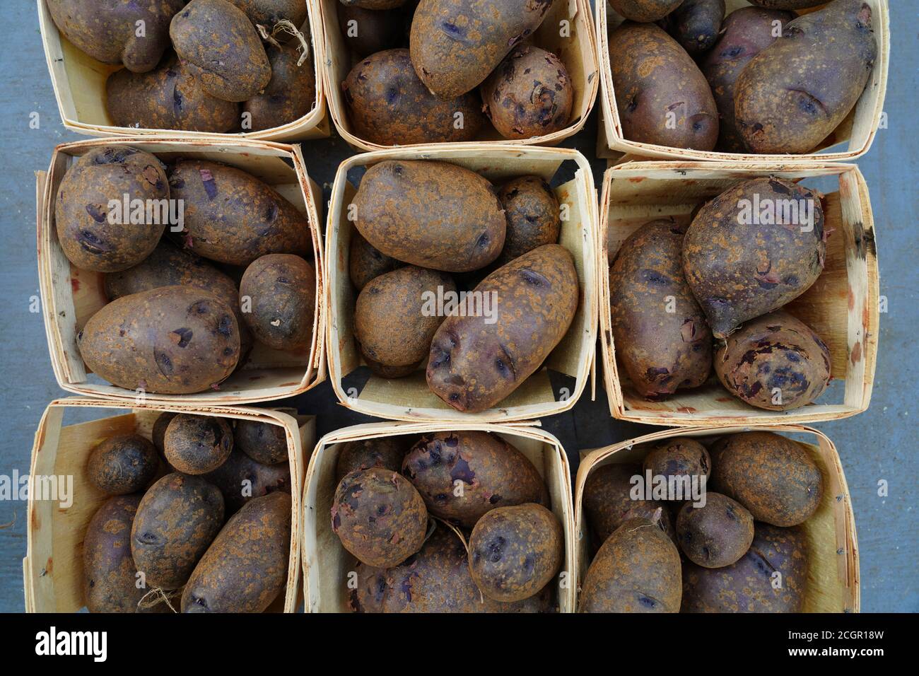 Patate viola in massa presso il mercato degli agricoltori Foto Stock