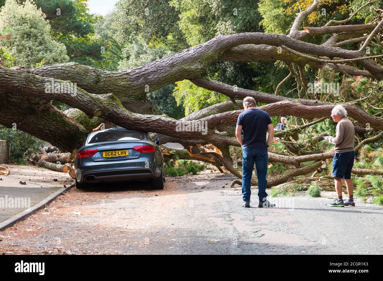 Bournemouth, Dorset UK. 12 settembre 2020. Un grande albero è caduto schiacciando diverse macchine ieri sera a Chine Crescent Road, Bournemouth. Fortunatamente nessuno è stato riferito male durante l'autunno, ma oggi non confermato rapporti da uno dei residenti vicini che una persona di recupero di albero è stato portato in ospedale dopo un elicottero atterrato nelle vicinanze - dettagli non può essere verificato. La strada rimane chiusa oggi. Aggiornamento - ITV segnala che un chirurgo dell'albero è stato seriamente ferito mentre si eliminano i detriti e sollevato in aria all'ospedale di Southampton. Credit: Carolyn Jenkins/Alamy Live News Foto Stock