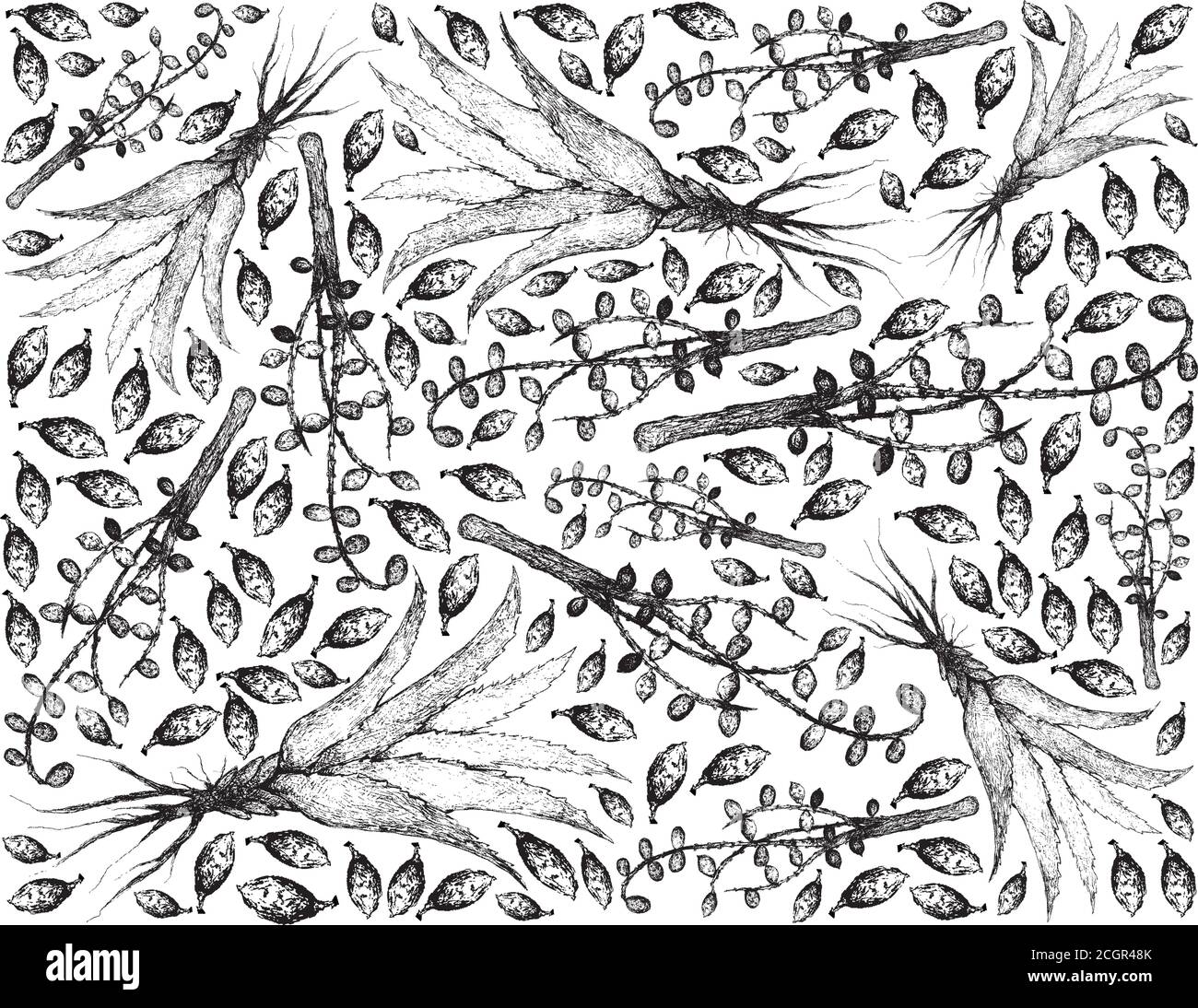 Erbe e pianta, disegnata a mano Illustrazione sfondo di Serenoa repens o ha visto Palmetto Berries con piante di Aloe vera. Illustrazione Vettoriale