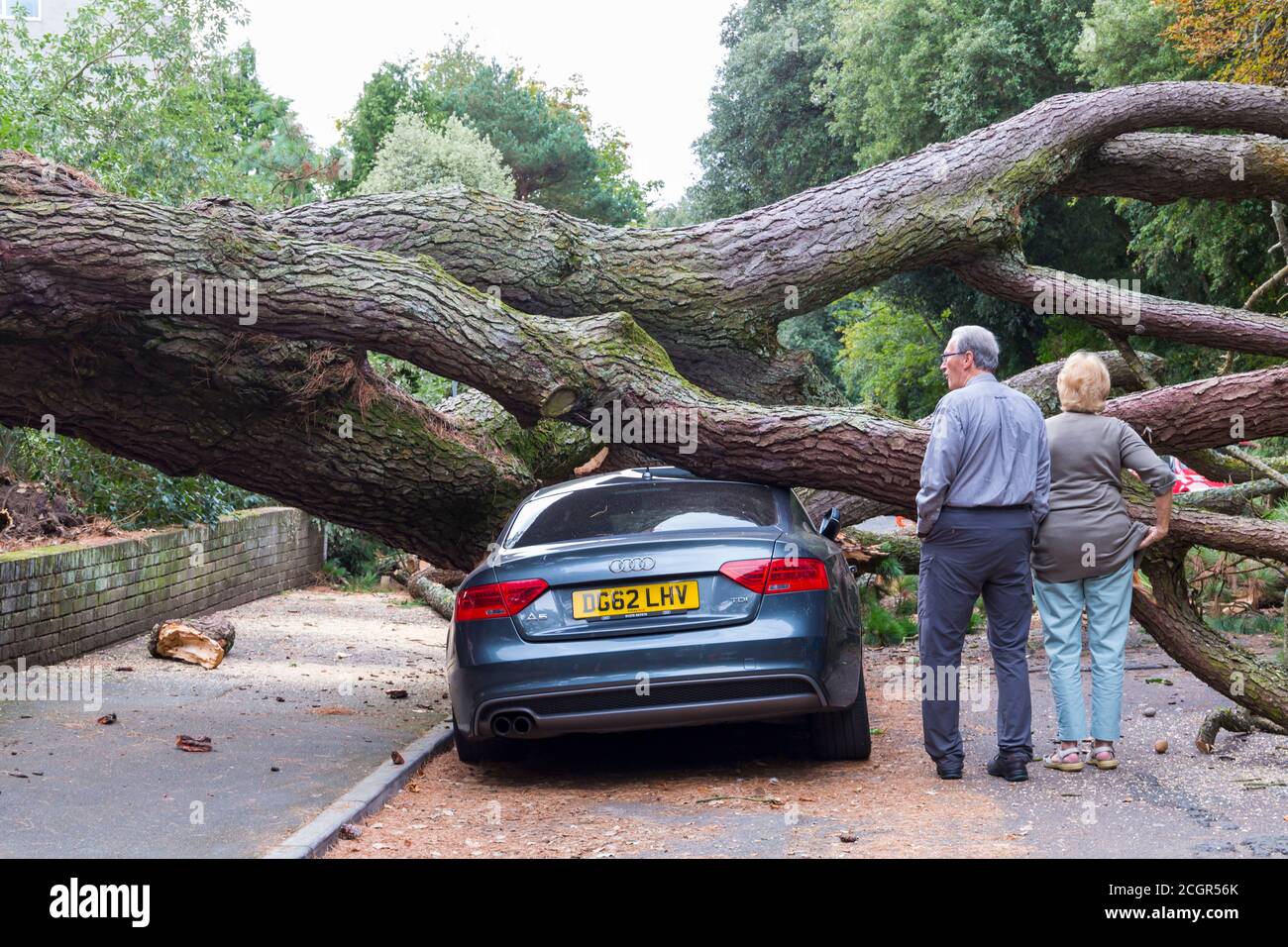 Bournemouth, Dorset UK. 12 settembre 2020. Un grande albero è caduto schiacciando diverse macchine ieri sera a Chine Crescent Road, Bournemouth. Fortunatamente nessuno è stato riferito male durante l'autunno, ma oggi non confermato rapporti da uno dei residenti vicini che una persona di recupero di albero è stato portato in ospedale dopo un elicottero atterrato nelle vicinanze - dettagli non può essere verificato. La strada rimane chiusa oggi. Aggiornamento - ITV segnala che un chirurgo dell'albero è stato seriamente ferito mentre si eliminano i detriti e sollevato in aria all'ospedale di Southampton. Credit: Carolyn Jenkins/Alamy Live News Foto Stock