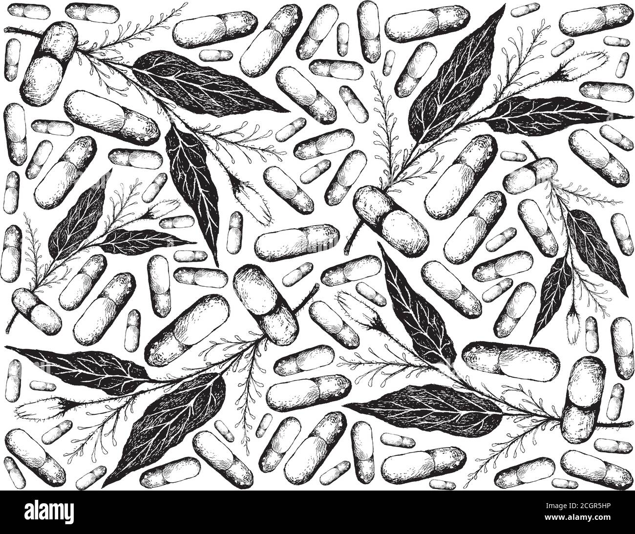 Ortaggi ed Erbe, illustrazioni disegnate a mano sfondo di piante di Kariyat o Andrographis Paniculata con pill. Ayurveda Medicina erboristica usata per trattare Illustrazione Vettoriale