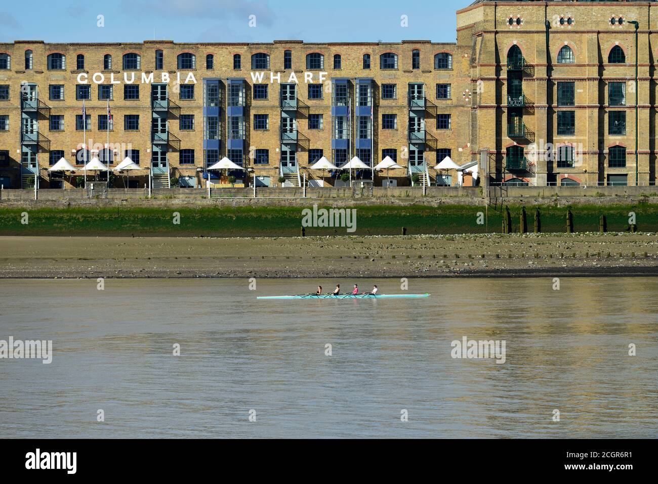 Senza coxless quattro canottaggio sul Tamigi a bassa marea, Canary Wharf, East London, Regno Unito Foto Stock