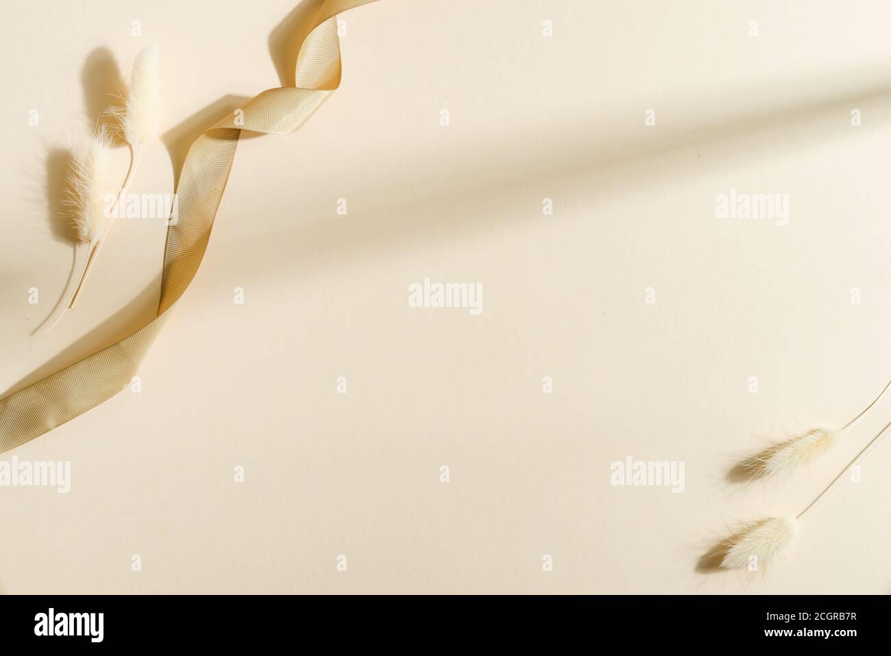 Fondo decorativo con piante secche e nastro tessile Foto Stock