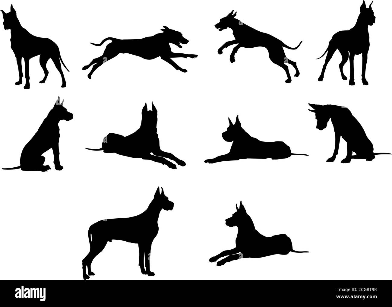 Cane, razza, cane, vettore, grafico Illustrazione Vettoriale