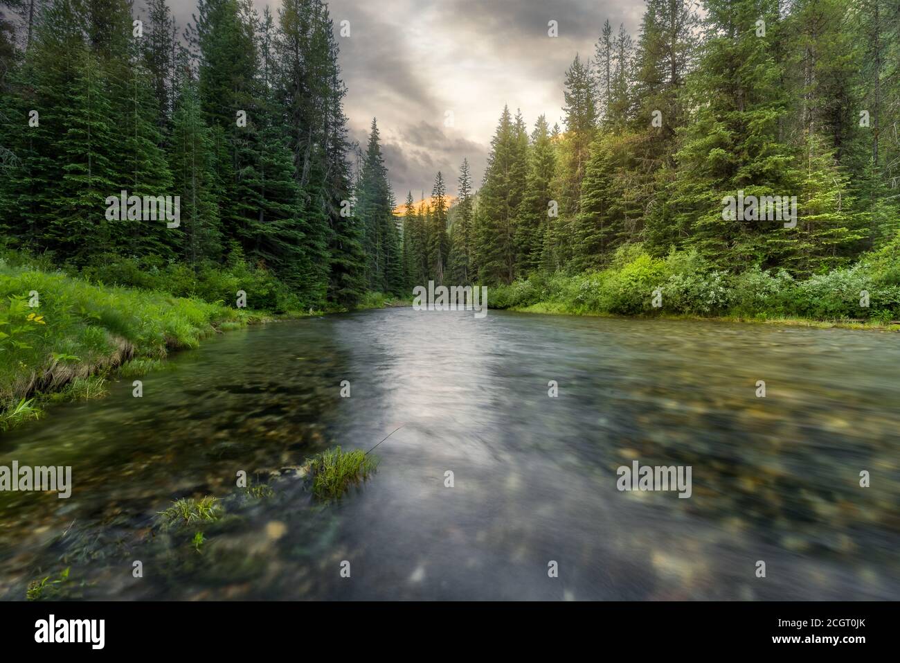 Vista del fiume Lustine nella foresta con le cime di montagna sullo sfondo in Oregon all'alba. Foto Stock