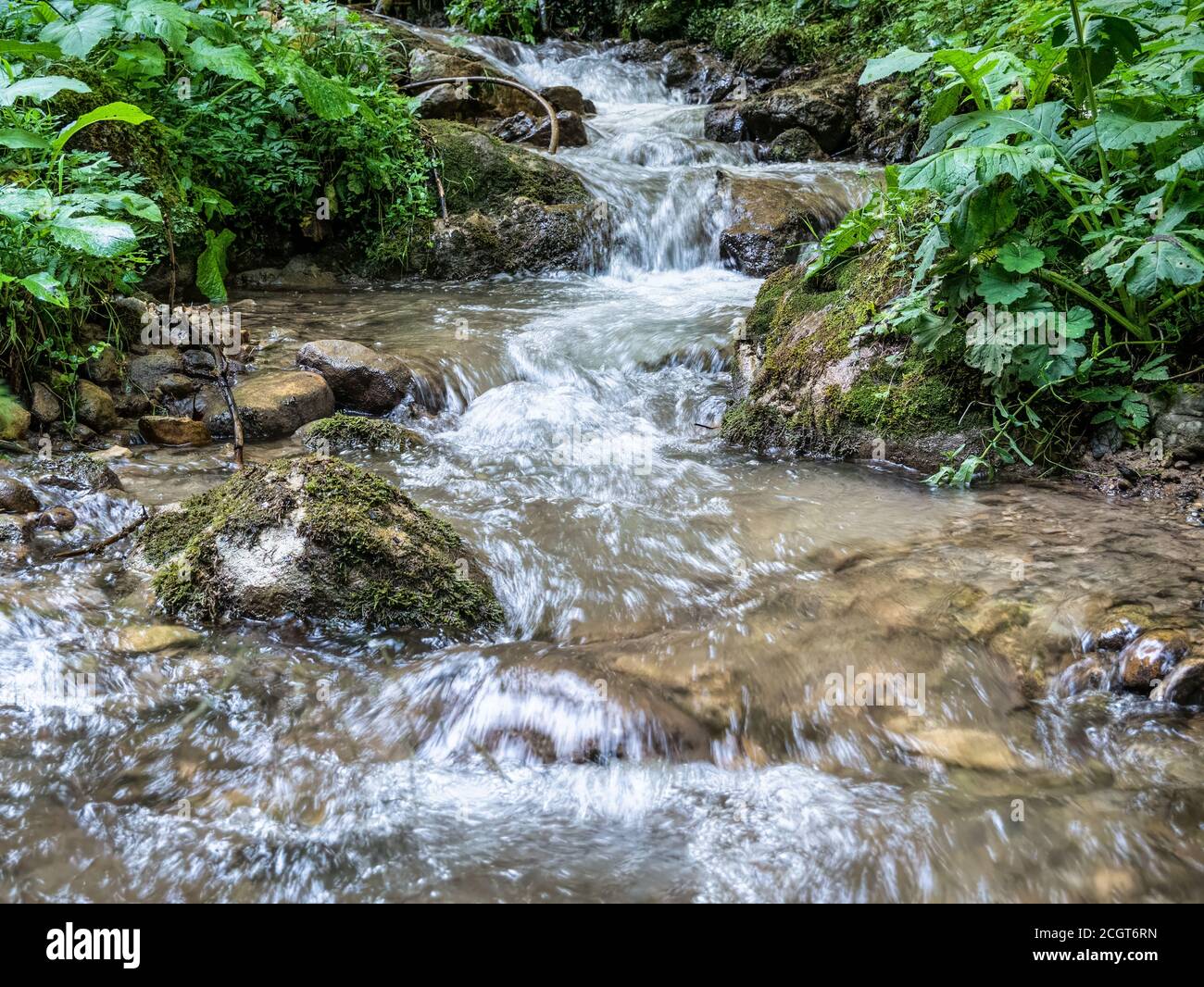 Ruscello che scorre senza intoppi tra rocce e foglie verdi nella foresta. Sette scalette canyon in Piatra Mare (Big Rock) montagne. Foto Stock