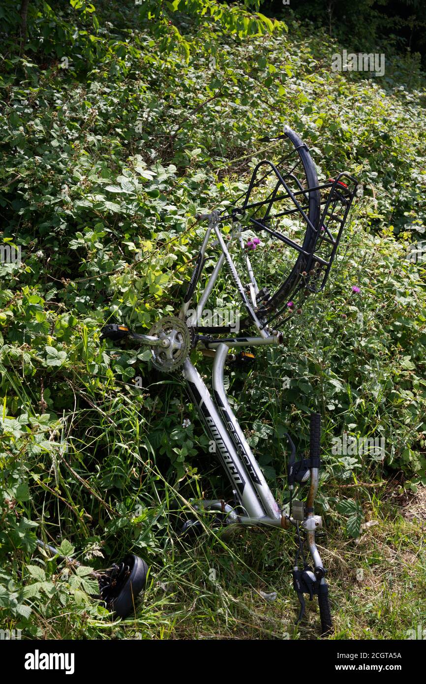Bicicletta abbandonata o rubata e posta verticalmente negli arbusti. Wells, Somerset, Regno Unito Foto Stock