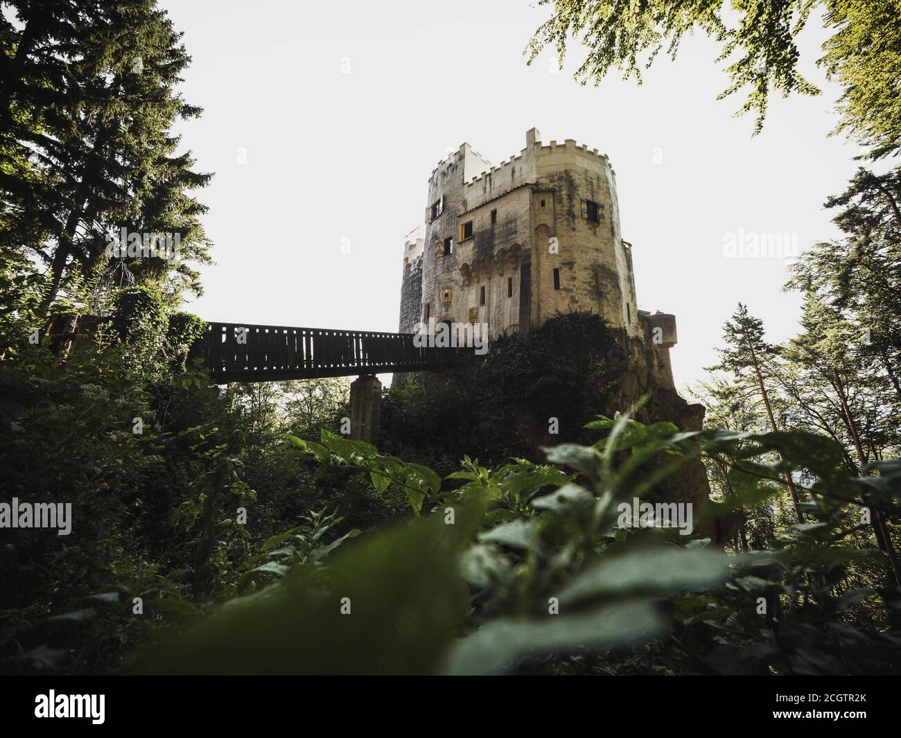 Castello di Burg Grimmenstein in bassa Austria incorniciato da foglie Foto Stock