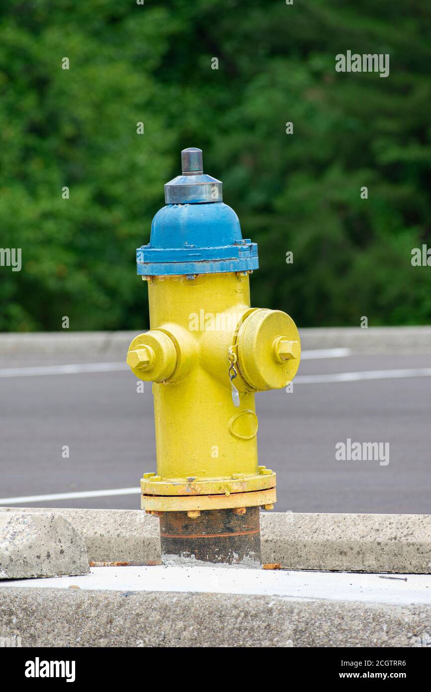 Ripresa verticale di un vecchio idrante antincendio giallo e blu con spazio per la copia. Foto Stock