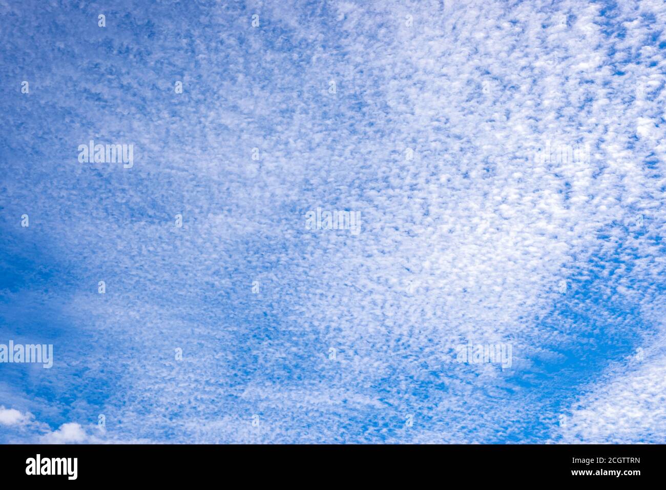 Piccole nuvole bianche di pecora contro un cielo blu, noto in meteorologia come Cirrocumulus. Adatto come sfondo o sfondo. Foto Stock