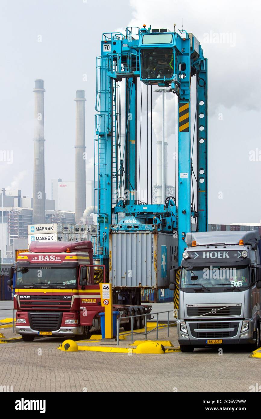 Trasportatore a rondone che posiziona un contenitore per la spedizione su un rimorchio per autocarri in un terminal del porto di Rotterdam, Paesi Bassi, 6 settembre 2013. Foto Stock