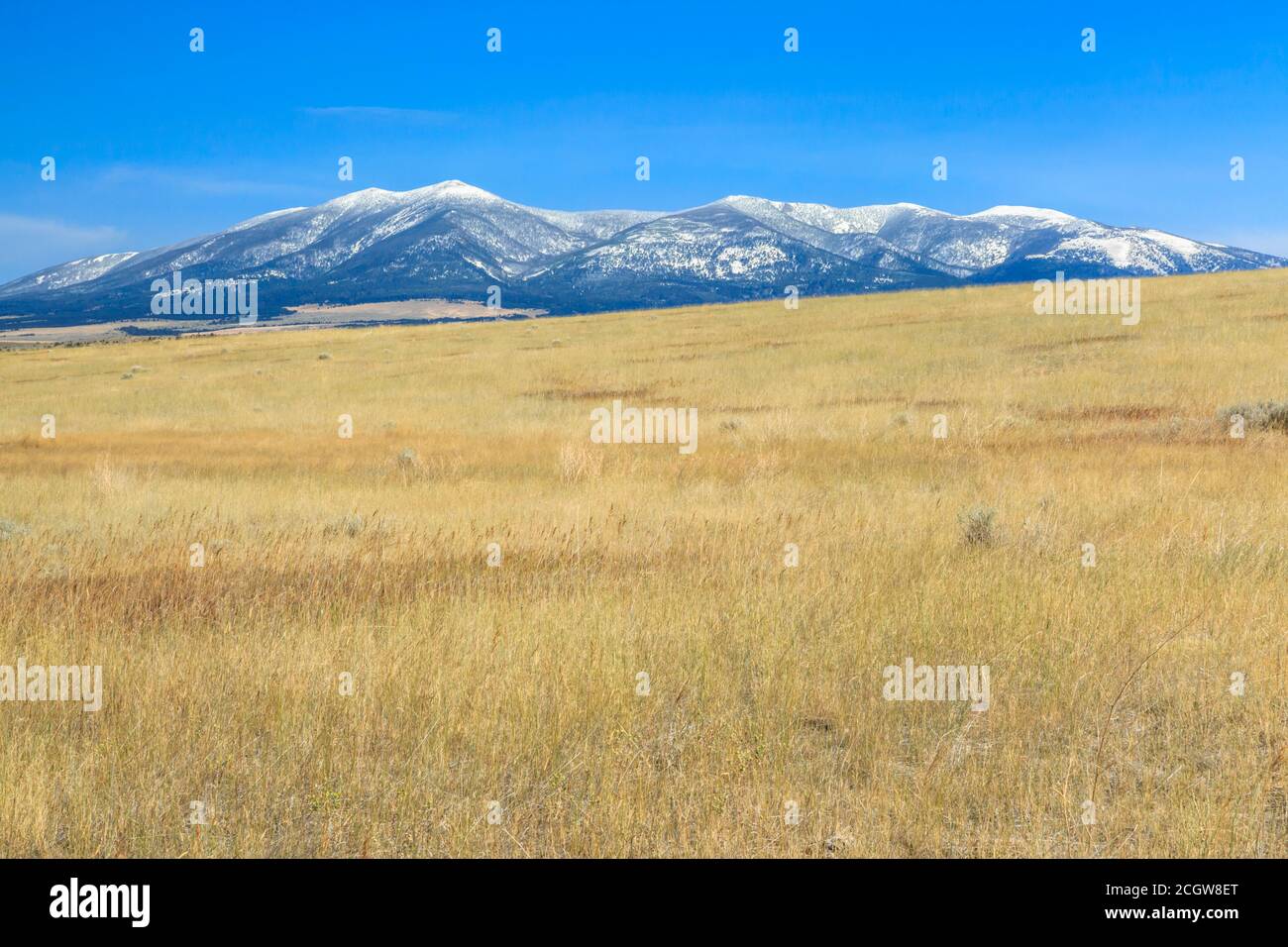 campo di upland e le grandi montagne della cintura vicino townsend, montana Foto Stock