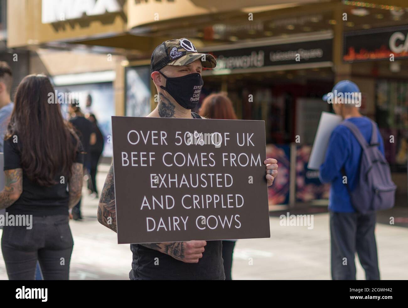 Uomo che protestava in piazza Leicester per il maltrattamento delle mucche. Londra Foto Stock