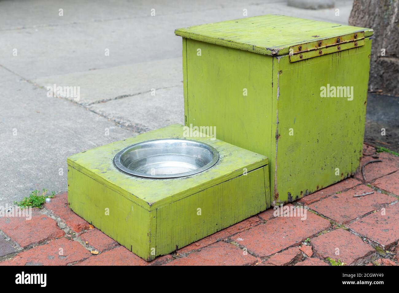 Un piatto d'acqua su un marciapiede per cani assetati. La ciotola è in una cornice di legno verde, e una scatola di legno verde è accanto ad essa. Foto Stock