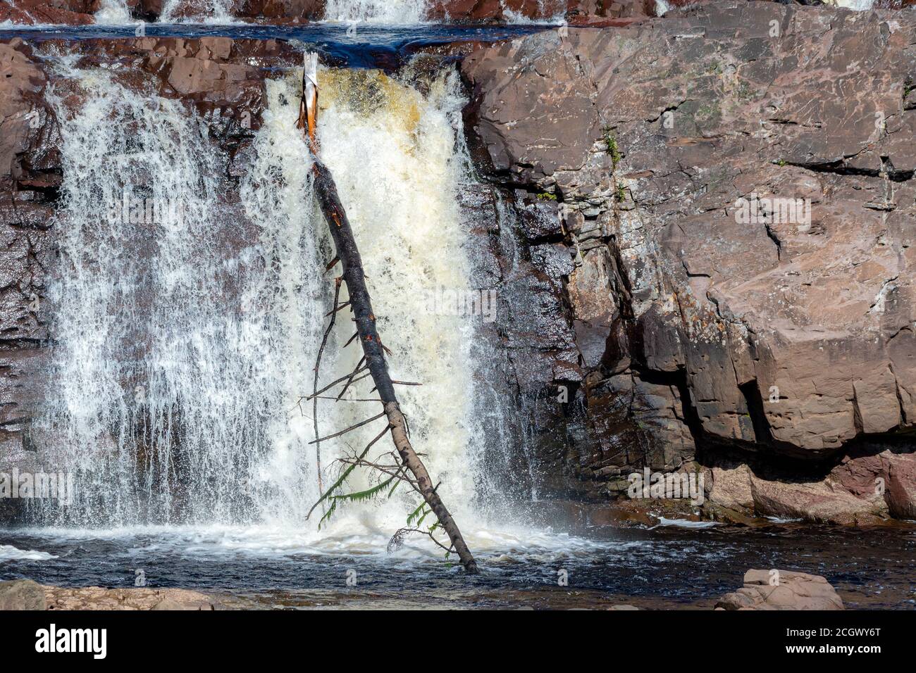Un albero morto che pende contro una cascata. L'albero sembra essere stato trasportato da upstream. Foto Stock