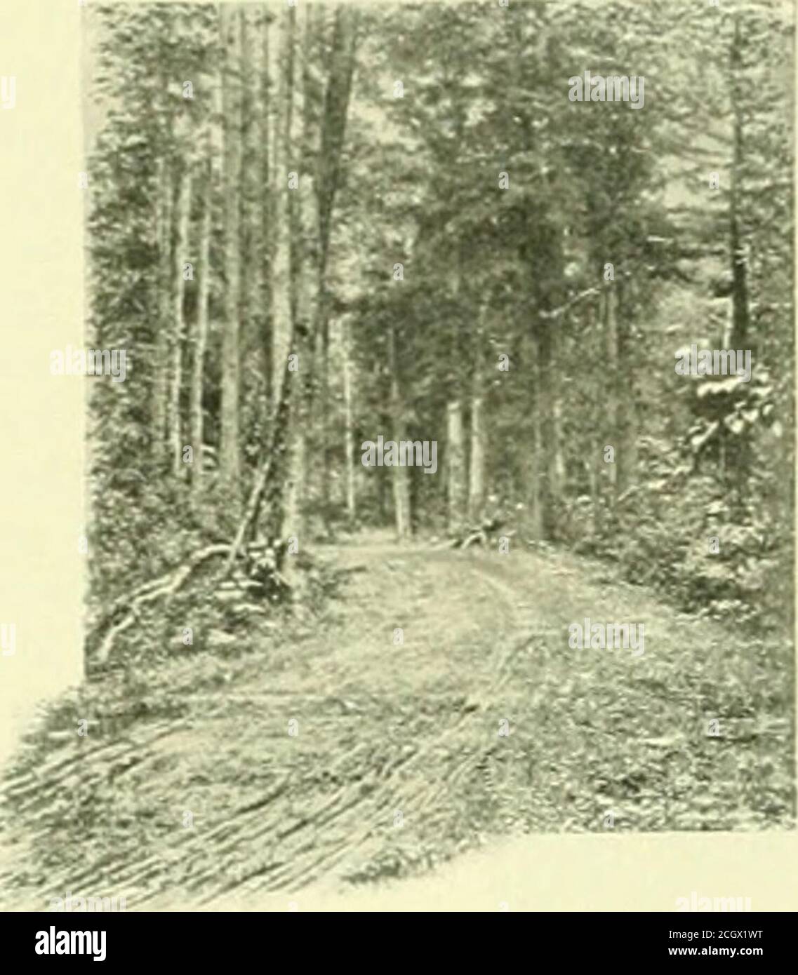 . Libro del blu reale . y ospiti al Parco. Ci sono strade eccellenti per andare in bicicletta: Campi da tennis e campi da palla. Il campo da golf Alink è la band mattutina DXE i IF IXITTAGES. Ben disposto ninespecial caratteristica. ALLEGHENY MOUNTAIN RESORTS, concerti e salti serali presso l'hotel non sono trascurati. Nonostante il Deer Park abbia delle attrazioni individuali, è molto comodo con i migliori mezzi di trasporto, la cui mancanza è spesso un nocivo per un resort estivo. Si trova sulla linea principale della ferrovia di Haltimore & Ohio, e dista solo undici ore di viaggio da Cincin-nati o New York; Foto Stock