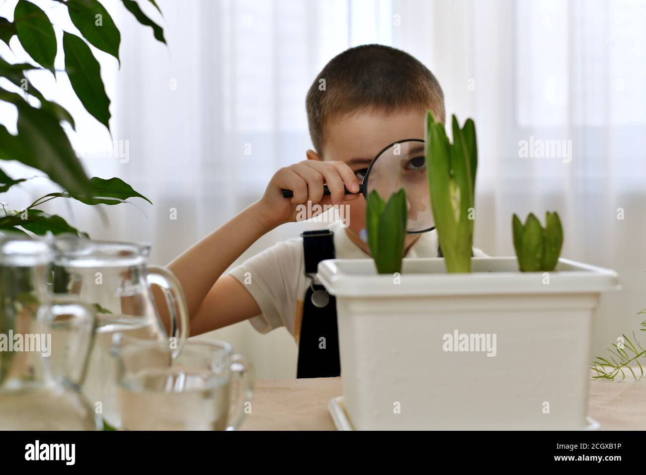 Il bambino guarda con interesse attraverso la lente di ingrandimento al fiore in fiore. Foto Stock