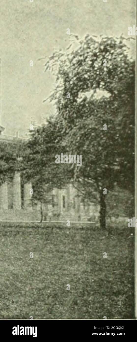 . Libro del blu reale. Ur.sKNT STATK Hol.^i CELEBRAZIONE COSTITUZIONALE DEL CENTENARIO. CHILLICOTHE, OHIO, NOVEMBRE 2% J 902. IL popolo dell'Ohio ha festeggiato a Chili-cothe, novembre 29, il centenario dell'adozione della prima costituzionedello Stato dell'Ohio, preliminare all'organizzazione di un governo statale, che seguì il primo marzo, ISO.S. La proposta di organizzare uno stato al di fuori della parte orientale del NorthwestTerritory era strenuamente opposta dai theFederalists, o elemento del New England, che preferiva amministrare il governmentunder le leggi territoriali. Sulla otherh Foto Stock