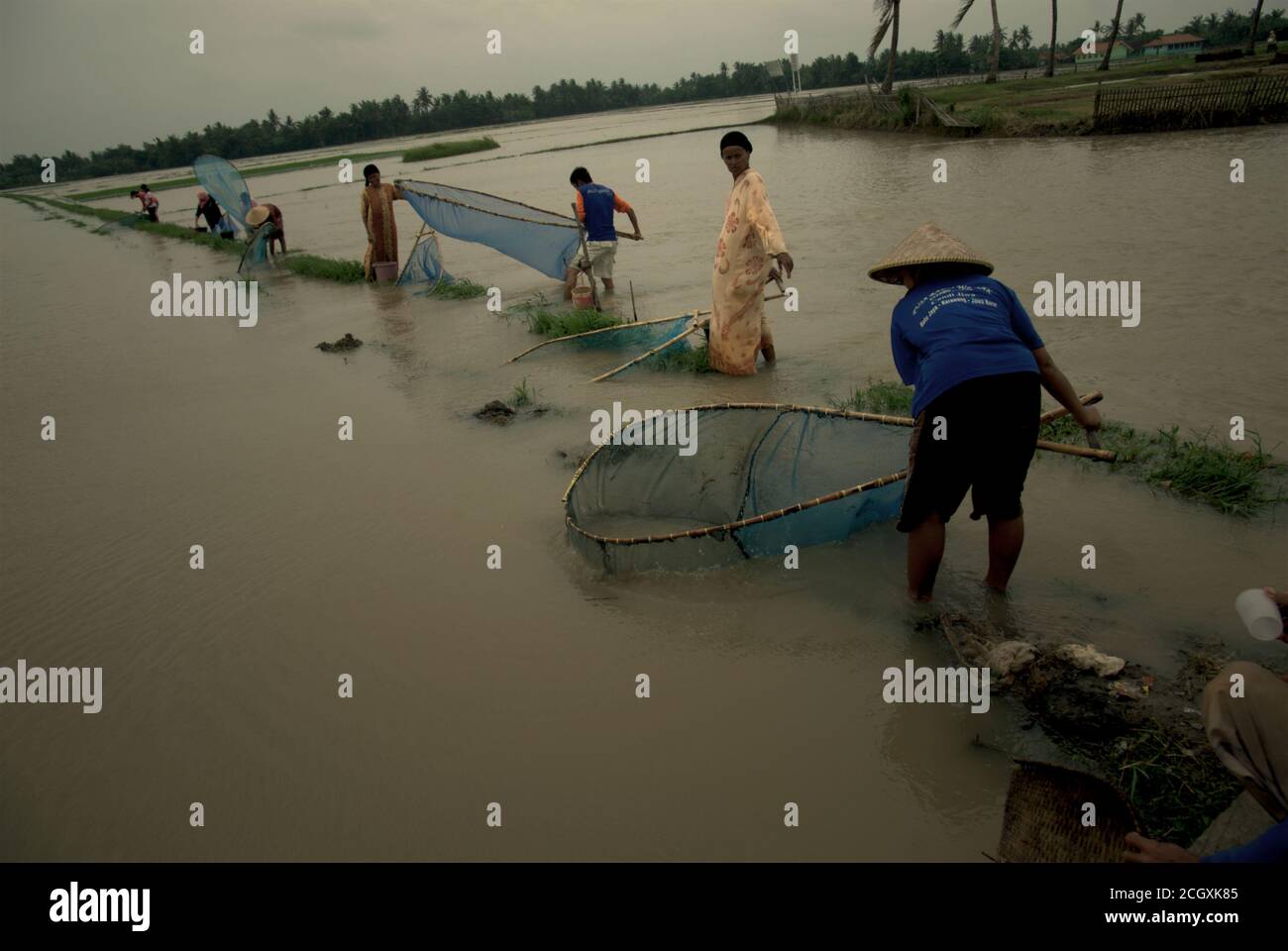 La gente pesca su un campo di riso allagato con i pushnet durante la stagione delle piogge che causano le inondazioni nella reggenza di Karawang, provincia di Giava occidentale, Indonesia. Foto Stock