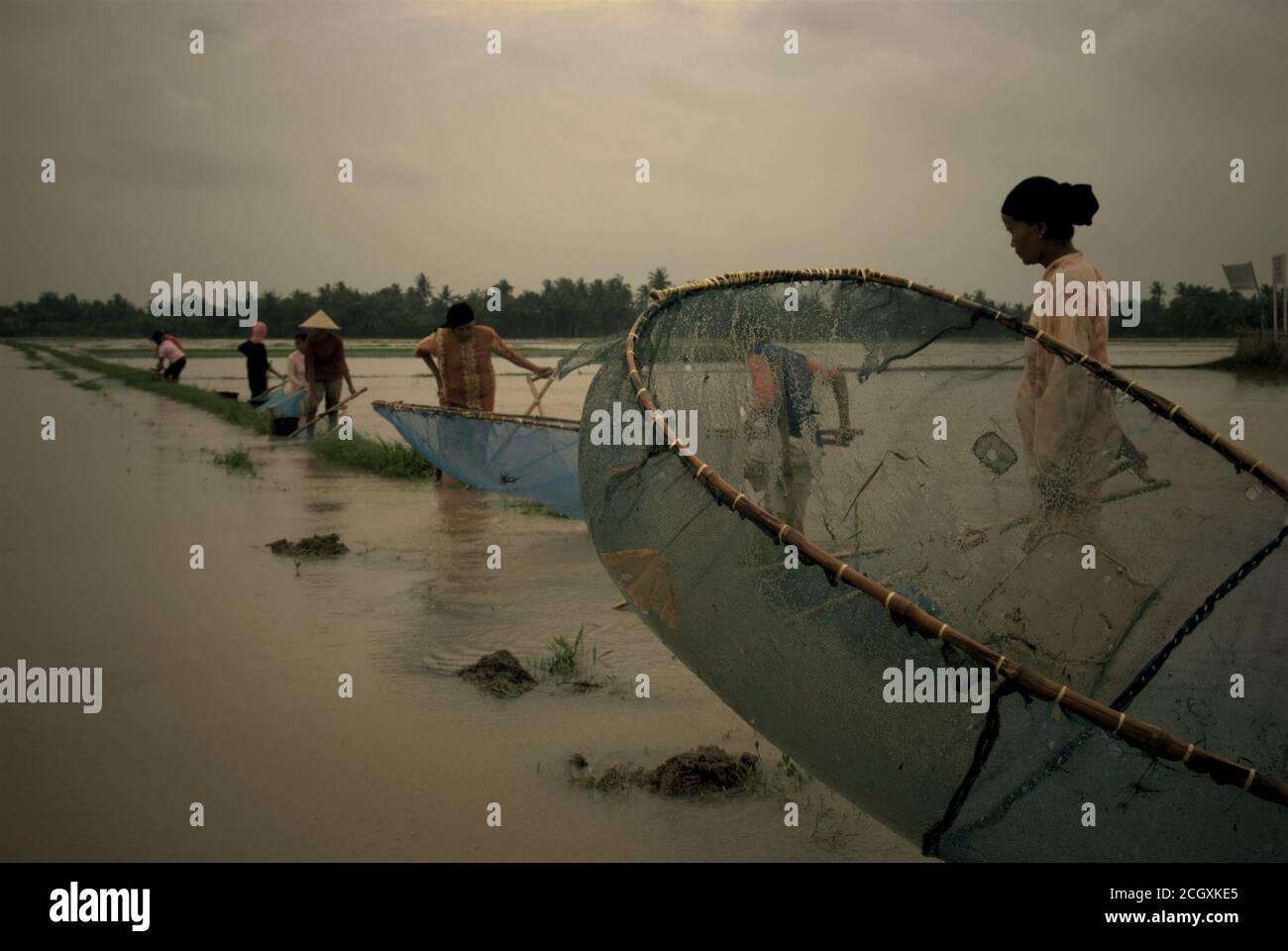 La gente pesca su un campo di riso allagato con i pushnet durante la stagione delle piogge che causano le inondazioni nella reggenza di Karawang, provincia di Giava occidentale, Indonesia. Foto Stock