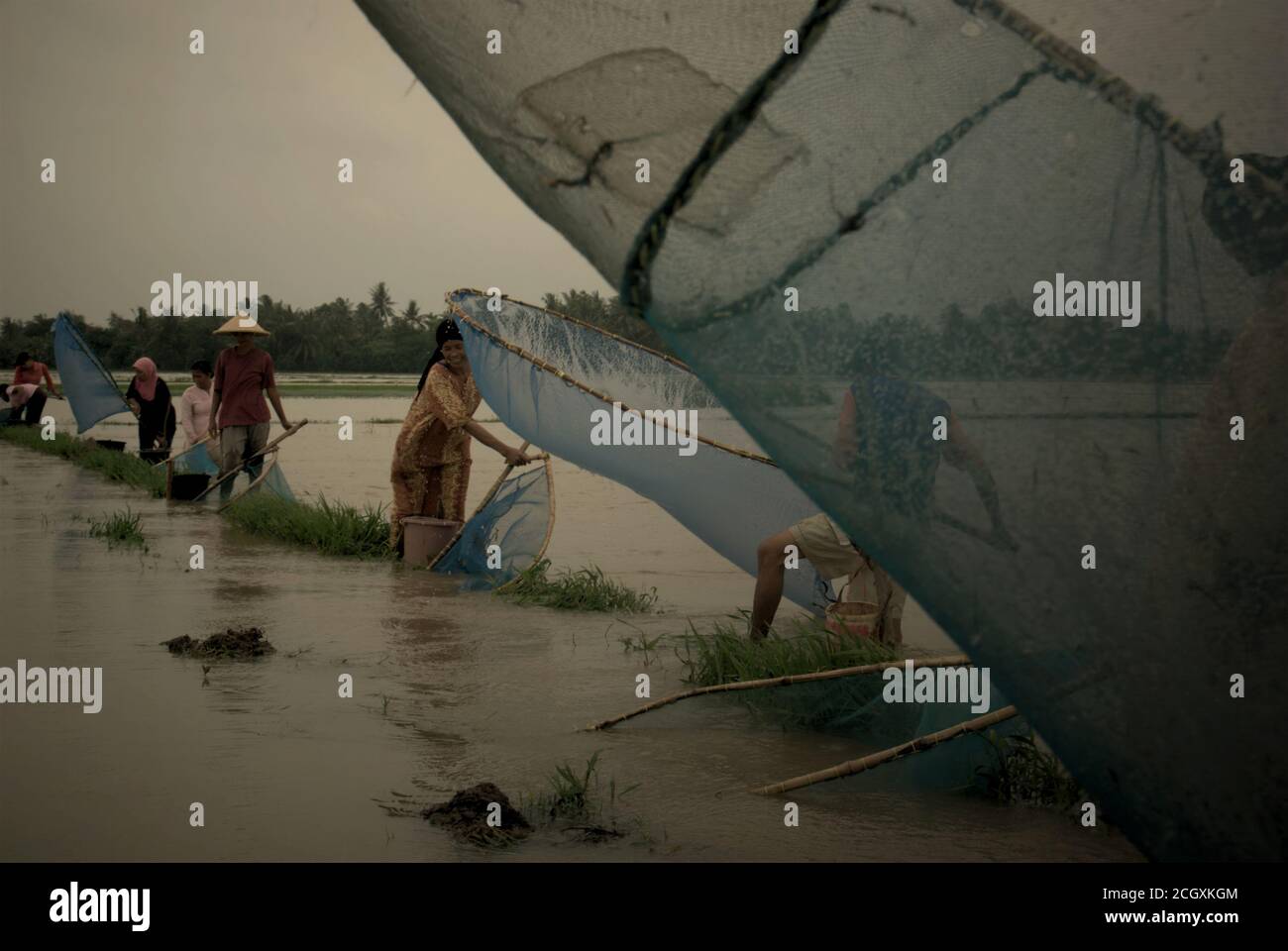 La gente pesca su un campo di riso allagato con i pushnet durante una stagione piovosa che causa le inondazioni nella reggenza di Karawang, provincia di Giava occidentale, Indonesia. Foto Stock