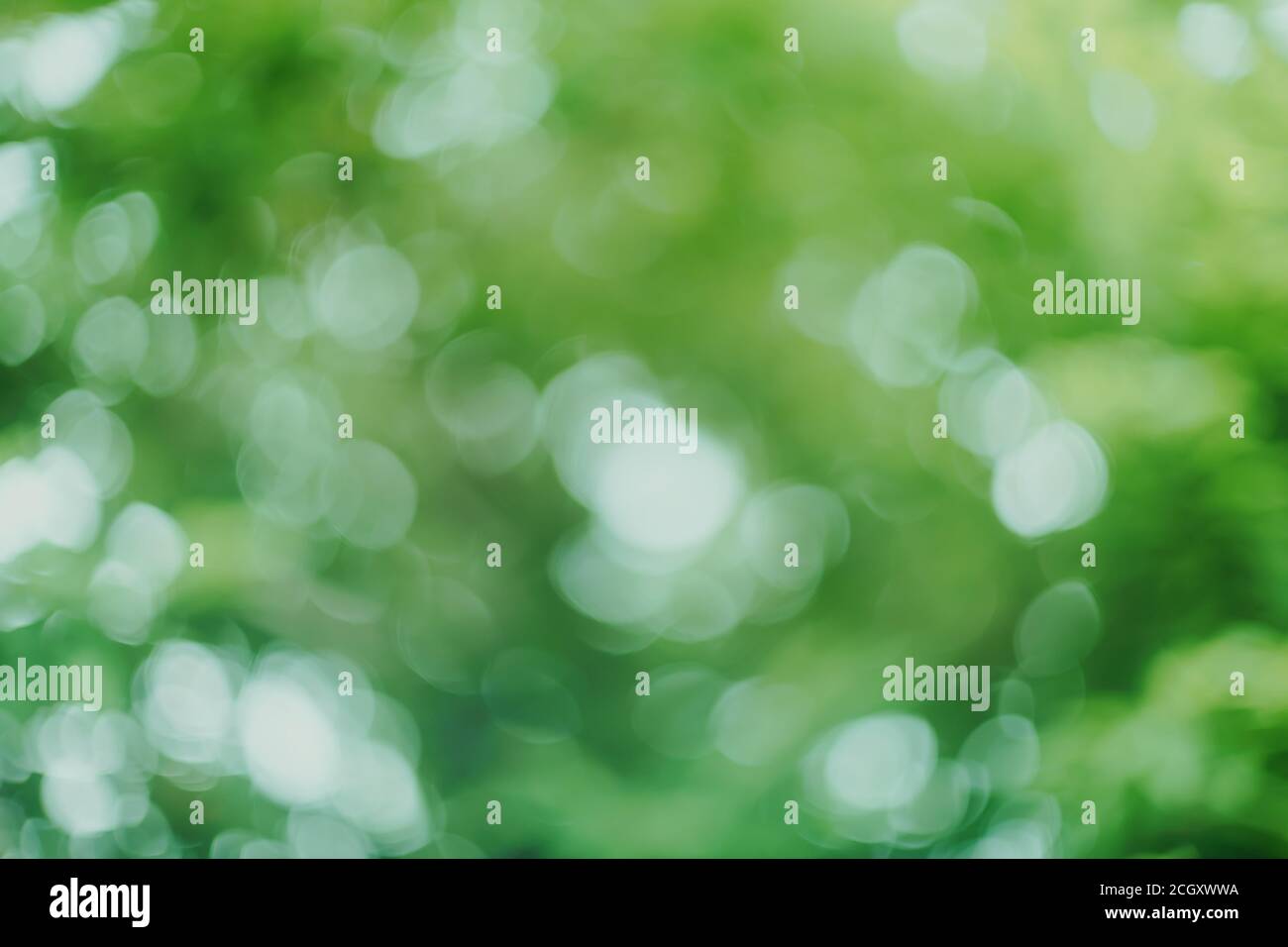 Sfondo bokeh verde astratto sfocato Foto Stock