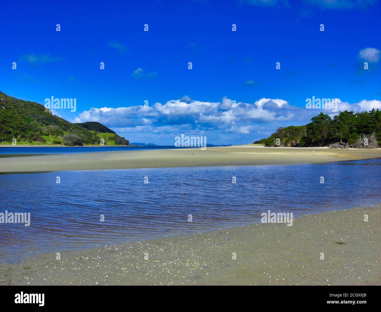 Insenatura vicino Pukenui, lontano a nord in Nuova Zelanda Foto Stock