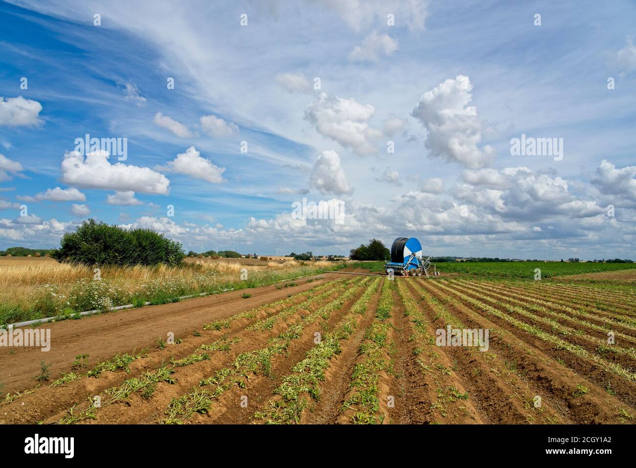 Savy Francia - 26 luglio 2020 - Campagna nei pressi di Savy Aisne Francia Foto Stock