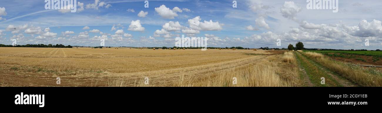 Savy Francia - 26 luglio 2020 - Campagna nei pressi di Savy Aisne Francia Foto Stock