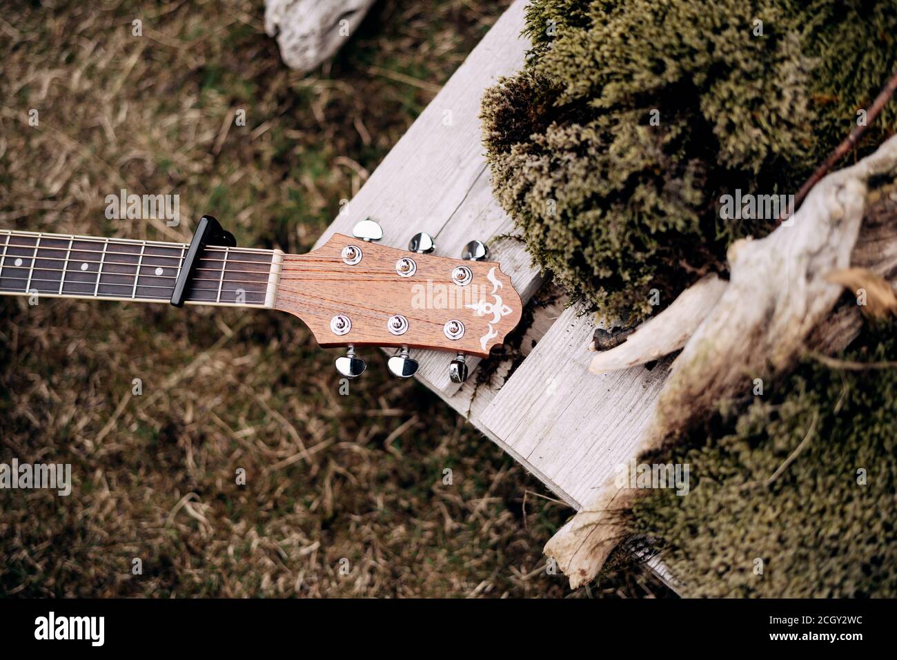 Tastiera di chitarra e testa su erba verde in natura. Foto Stock