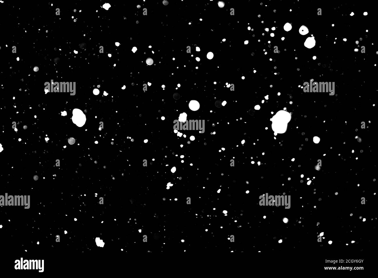 Nevicate, colpo di fiocchi di neve volanti bianchi nell'aria. Texture di Snowstorm su uno sfondo nero. Luci bokeh Foto Stock