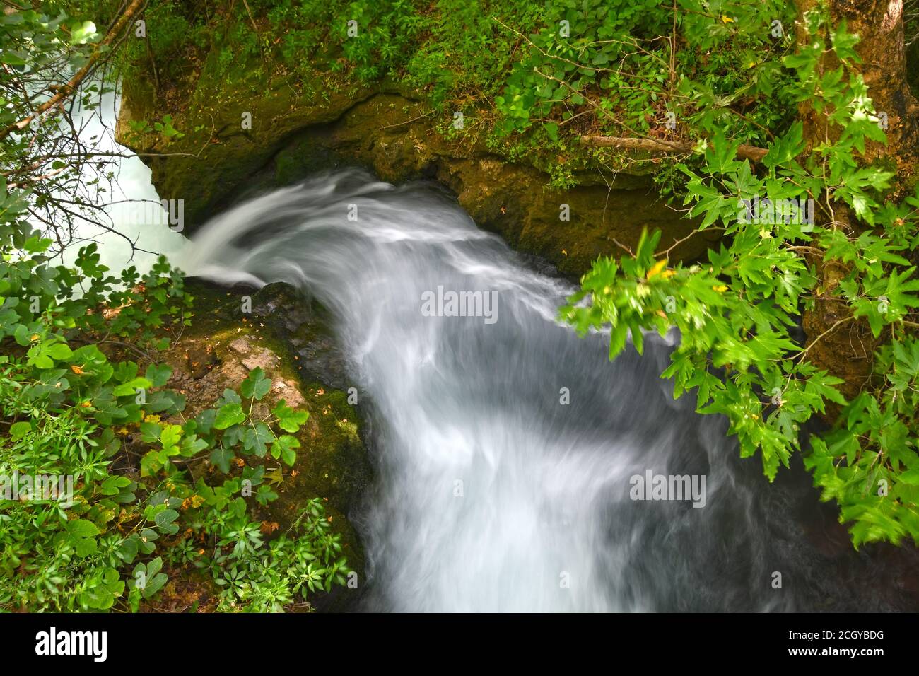 Flusso di Banias, Israele Foto Stock