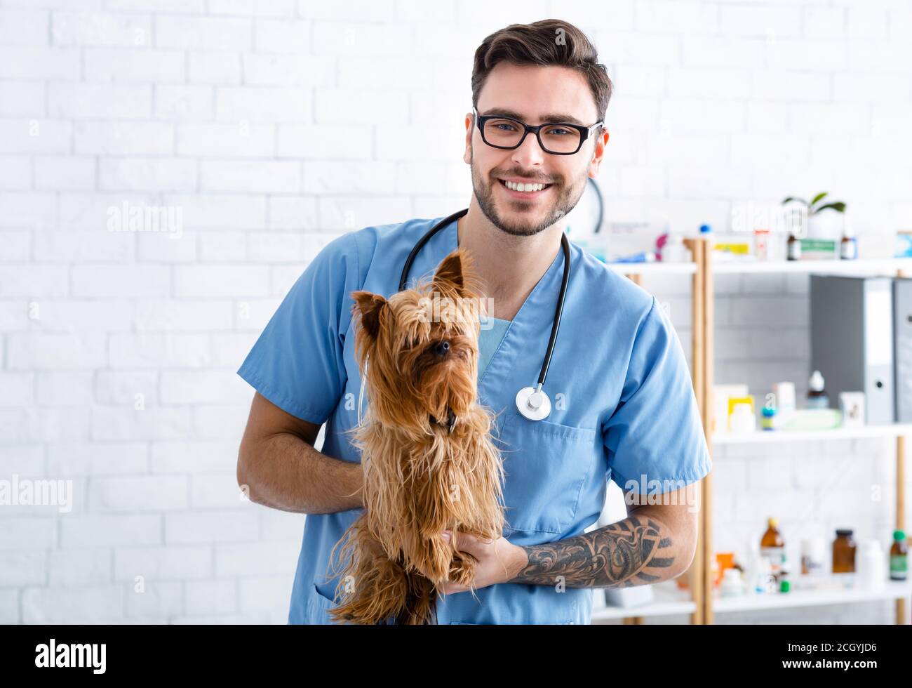 Ritratto di buon veterinario doc tenendo carino Yorkshire terrier a. clinica animale Foto Stock