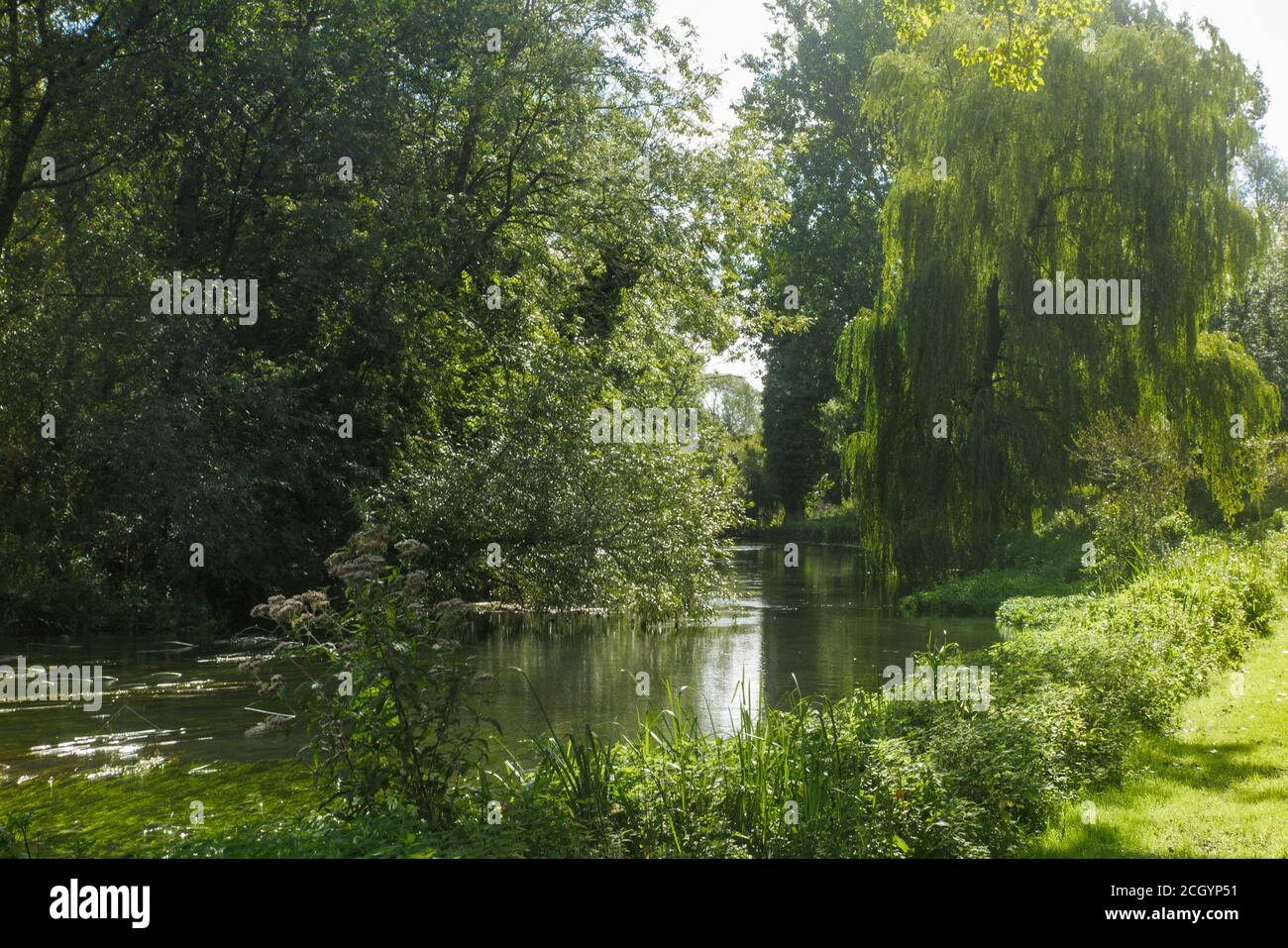 Il fiume Kennet incontaminato a Hungerford, Berkshire Foto Stock