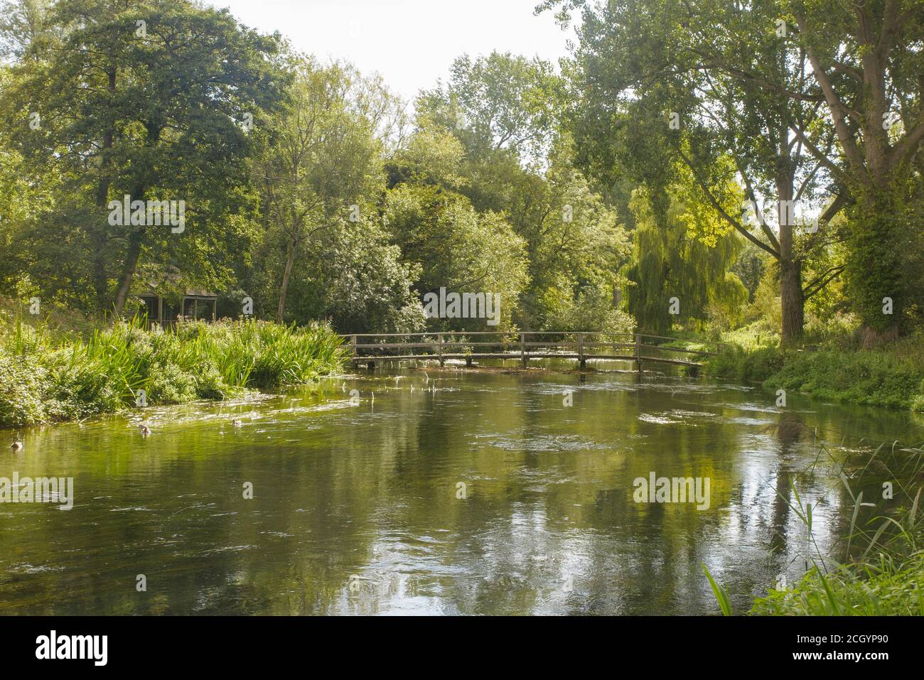 Il fiume Kennet incontaminato a Hungerford, Berkshire Foto Stock