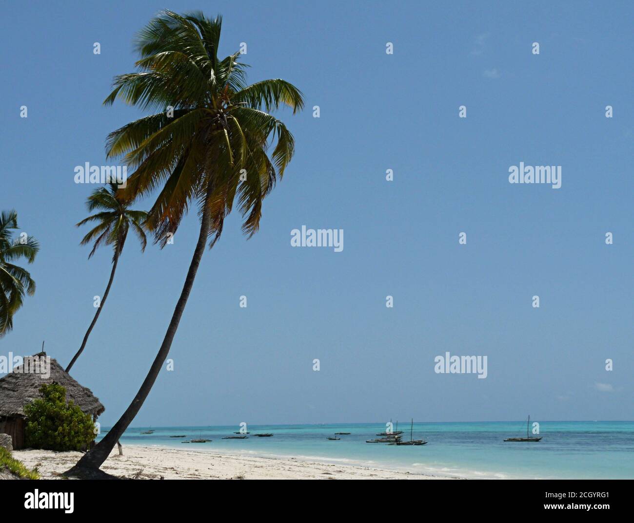 Paradiso tropicale, spiaggia incontaminata con palme ondeggianti, Jambiani Zanzibar Foto Stock