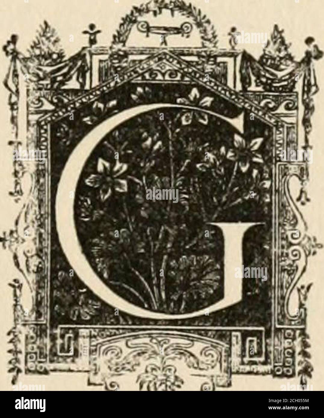 . Una storia della Louisiana . -*£&gt; ftt^f &S- GOUPIL & CO., DELLA CASA EDITRICE D'ARTE PARIGINA MANZI, JOYANT & CO., SUCCESSORI 170 FIFTH AVENUE, NEW YORK 1904 1&gt; u s M n V£? Copyright, 1903, byManzi, Joyant & Co. Tutti i diritti riservati LA STAMPA DK VIVNE CONTENUTI Capitolo I. inizio della dominazione americana. PAGE condition of the Province alla fine della domina-zione spagnola - confini e divisioni - New Orleans - Adminis-filtrazione del diritto - Louisianians desidera preservare la lingua francese negli affari pubblici - Biografia di Claiborne - Loui-siana Divided - Legge che istituisce il territorio di Orleans - dibattiti al Congresso Foto Stock