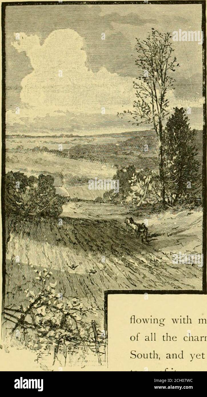 . Sylvan scene lungo la linea della ferrovia di Filadelfia e di lettura .. . S Y L V A N SCENES America sono incontrate da un sempre crescente fantasma da Europa, che saggiamente riconoscitele magnifiche ri-fonti di una campagna che ha alreadysurclassed tutti gli altri.offre endlessvariety di paesaggio tocharm e interestthe occhio e mente. Mettendo da parte i fora Time North, Eastand West, c'è una nuova regione, che è conosciuta come il grande-sud-ovest, un latte e miele di landflmg aith, partakingof tutte le qualità affascinanti del SunnySouth, e tuttavia possedendo avan-tages unico del suo proprio. È distintamente il landof t Foto Stock
