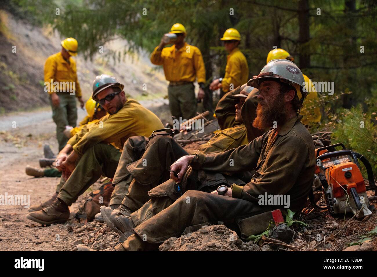 I sawyers con la Billings IA, un Bureau of Land Management Initial Attack Crew con sede a Billings, Montana, fanno una breve pausa prima di continuare a preparare una strada per le operazioni di burnout al complesso incendio di campo selvatico del 6 settembre 2020, nella foresta nazionale di Mendocino. Burnout prevede la rimozione di combustibile facilmente combustibile, come alberi e fogliame, contribuendo a prevenire la propagazione dell'incendio nelle terre selvatiche. I soldati con il 14° BEB sono dispiegati nella California del Nord, su richiesta del National Interagency Fire Center, a sostegno della risposta antincendio del Dipartimento della Difesa delle terre selvatiche op Foto Stock