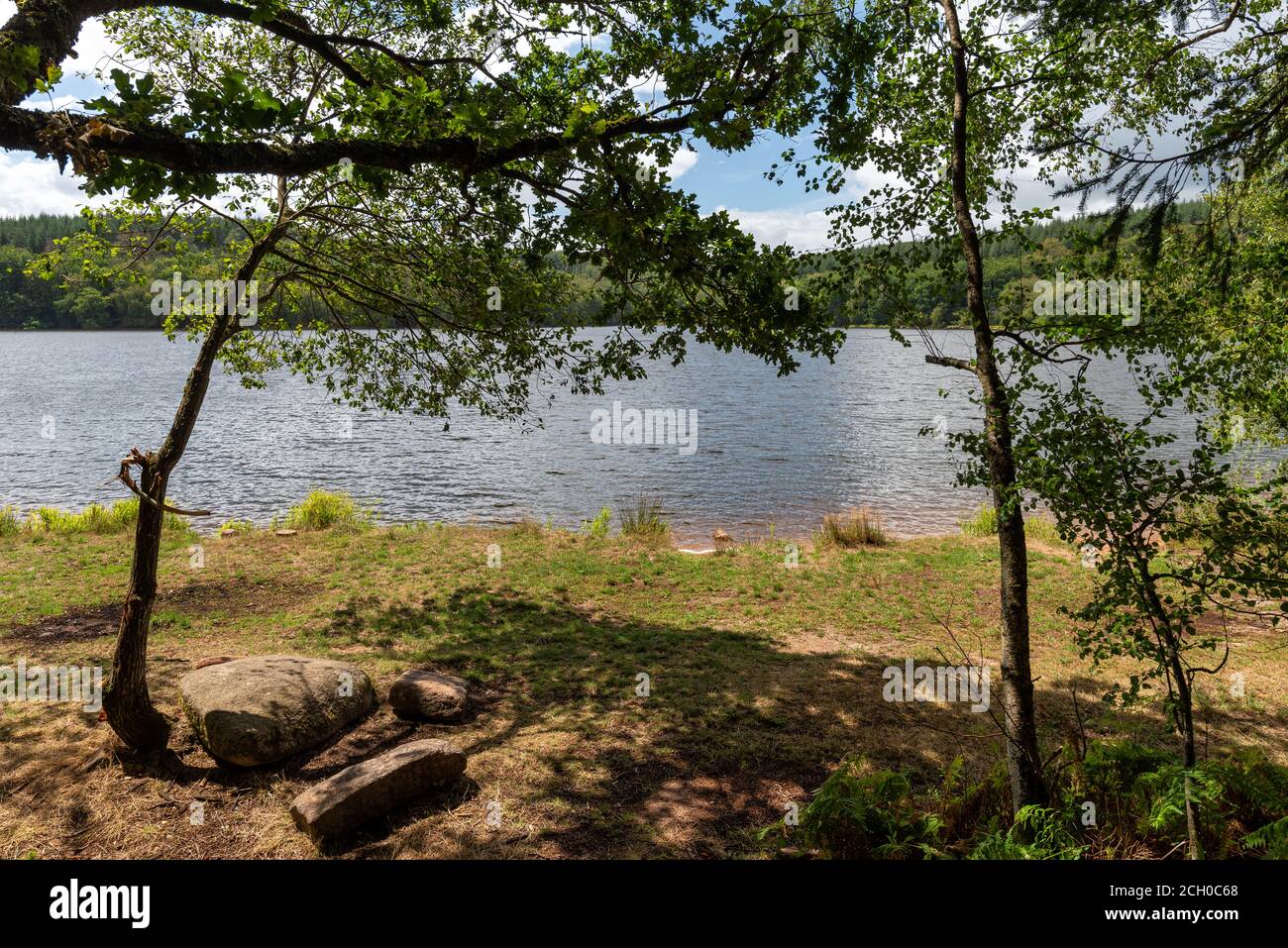 Vista del lago di Saint-Agnan situato nella zona protetta del Parc naturel régional du Morvan, dipartimento della Nièvre, FRANCIA. Foto Stock