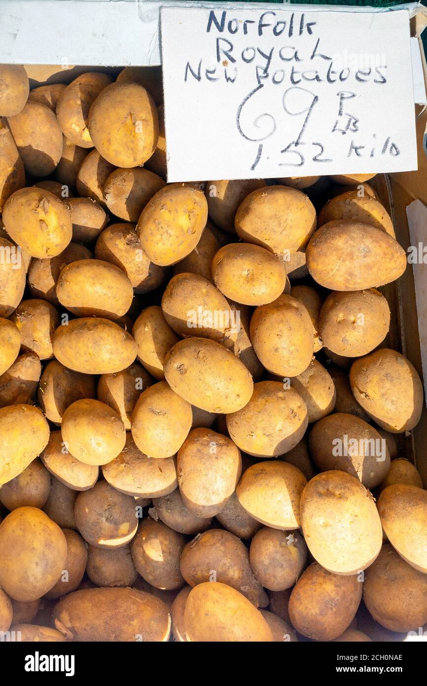 Norfolk Royal New Potatoes in un negozio di greengrocers prezzo a. £0,69 p per libbra o £1.52 per chilo Foto Stock