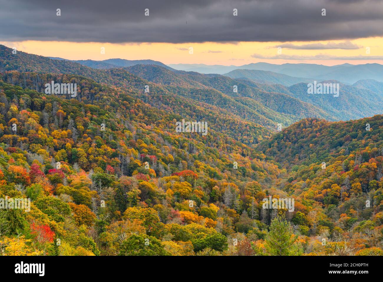 Parco Nazionale di Great Smoky Mountains, Tennessee, Stati Uniti d'America che si affaccia la ritrovata Pass in autunno. Foto Stock