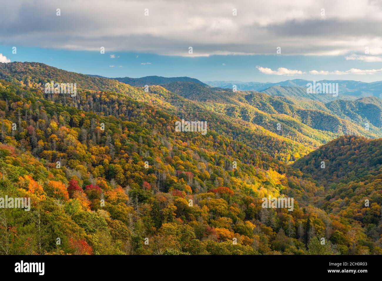 Parco Nazionale di Great Smoky Mountains, Tennessee, Stati Uniti d'America che si affaccia la ritrovata Pass in autunno. Foto Stock