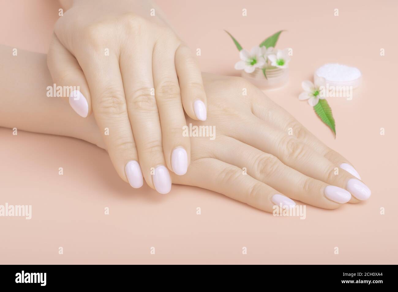 Naturale bellezza mani ragazza, cosmetici mani con estratto di fiori secco, prodotto. Cura della pelle e bellezza, idratazione della pelle e Spa Foto Stock