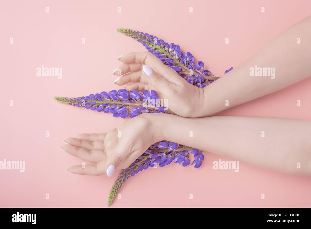 belle mani di donna ben curate in una posa elegante. concetto di cura di bellezza Foto Stock