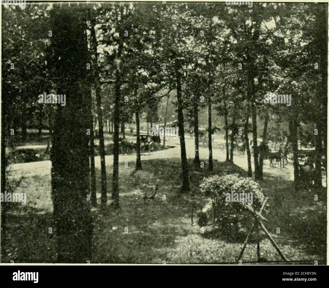 . Libro del blu reale . UNA RELIQUIA IXTERESTINU. (SeepaseSO.) Libro del Blu reale. PuBi.isiiKn mensile dal reparto passeggeri della ferrovia di Baltimora & Ohio. Vol. III BALTIMORA, GIUGNO 1900. N. 9. MOUNTAIN LAKE PARK, MARYLAND. SULLA cima delle Alle-Gheny Mountains si trova il rifugio ideale e località estiva noto asMountain Lake Park. Una peculiare caratteristica geologica di questa vasta catena di montagne dove occupano la parte occidentale del Maryland è il pianoro che si estende lungo la loro cresta stessa, circa nove millesimi e praticamente pianeggiante. Sembrerebbe ottenuto da Foto Stock