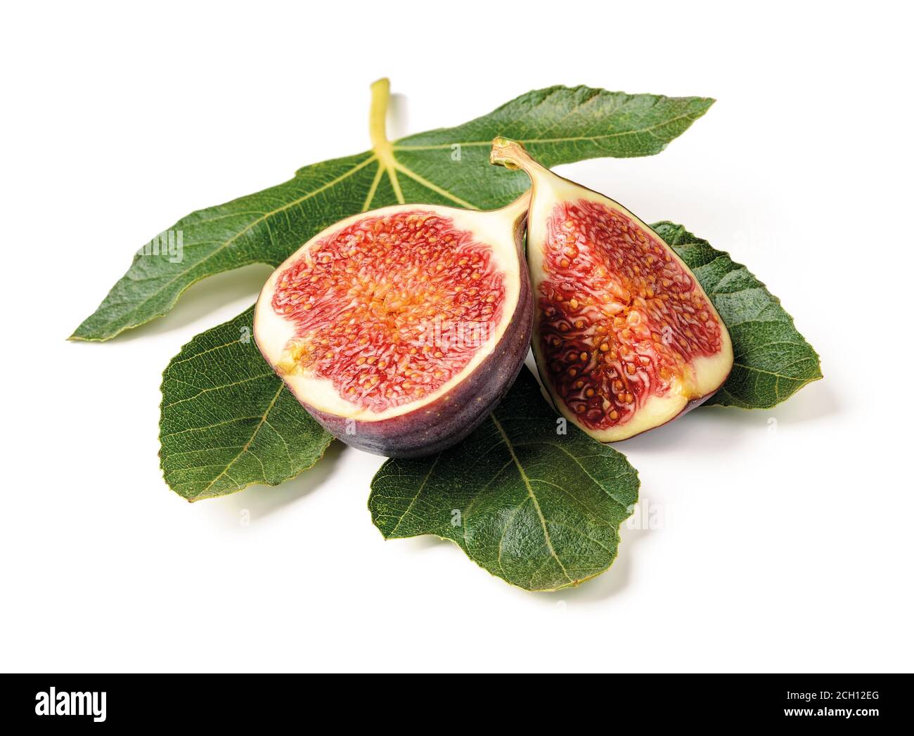 Metà e quarto di un fico dolce fresco maturo su una foglia di fico verde isolata su sfondo bianco. Elemento di progettazione per la dieta vegetariana e cruda. Foto Stock