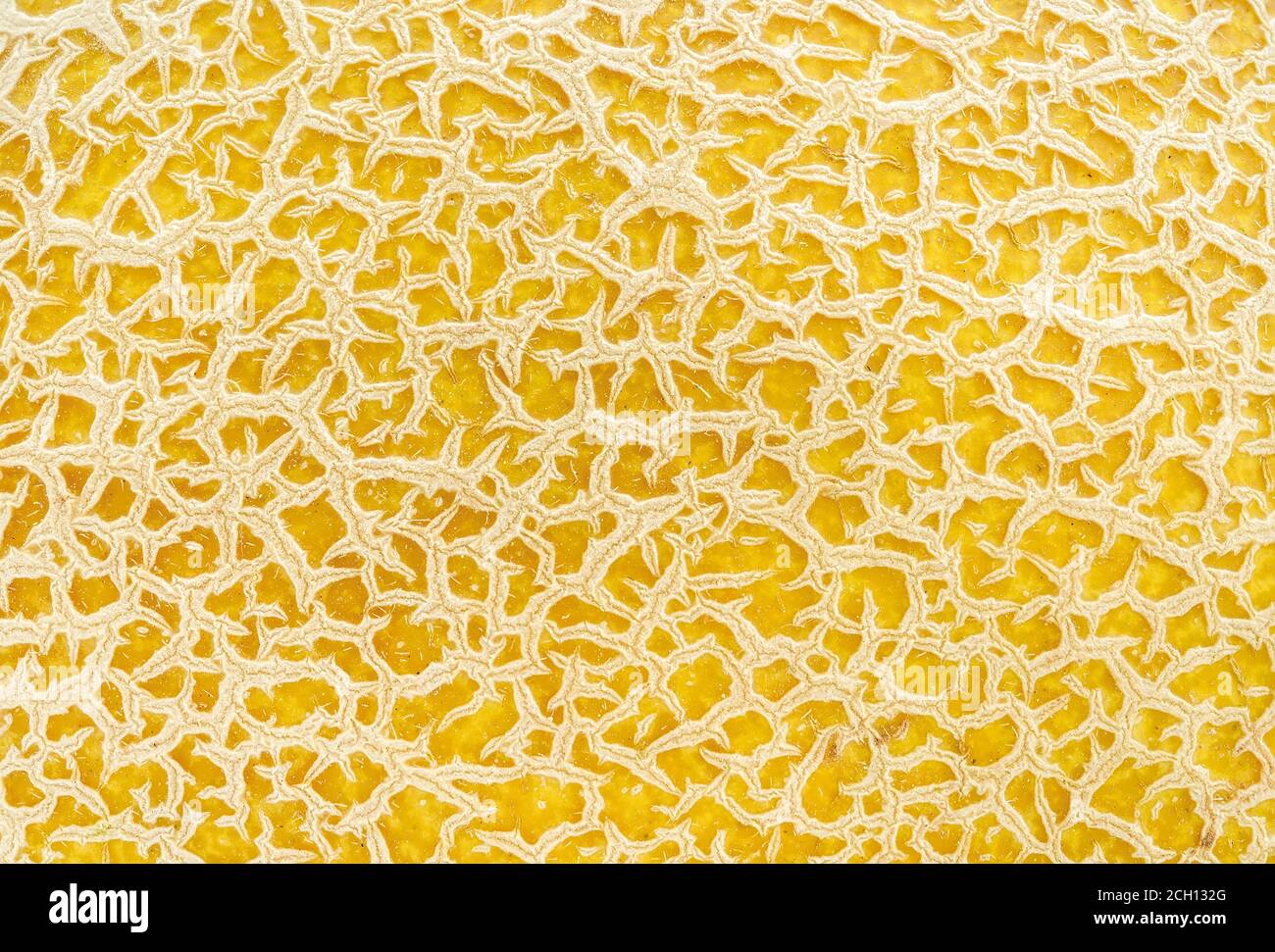 Macro shot di tessuto giallo melone. Elemento di progettazione per vegetariani, dieta alimentare cruda e concetti di alimentazione sana. Fotogramma intero. Vista dall'alto. Foto Stock
